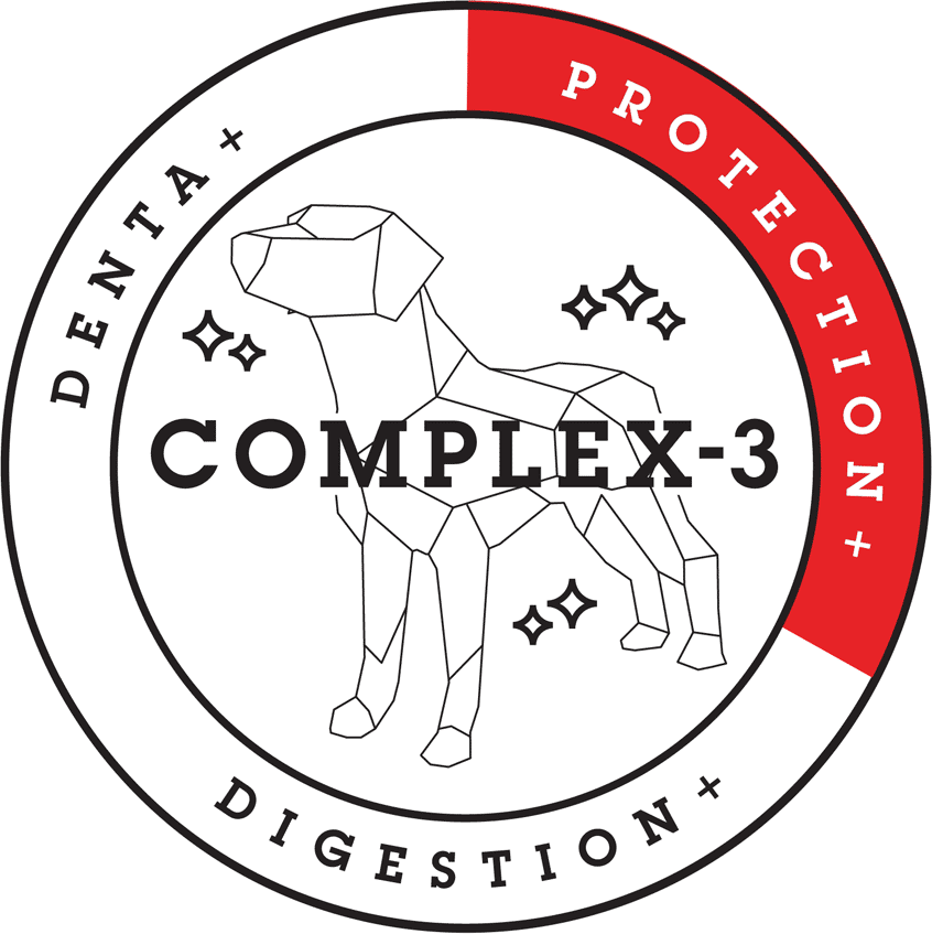 Complex-3 Animacion